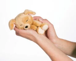 Nici 48111 Sleeping Puppies Schlafendes Hundebaby Im Körbchen 12cm Karamell 8 Nici 48111 Sleeping Puppies Schlafendes Hundebaby Im Körbchen 12cm Karamell -Nici 45371 12 image 2048x1638