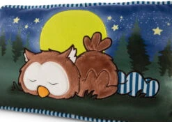 Nici 47879 Kissen Eule Oscar Schlafend Glow In The Dark 43x25cm Plüsch Owlsons -Nici 47879 04 ZA Frei 2048x1451