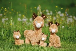 Nici 48602 Alpaka Al Paka 20cm Stehend Plüsch Kuscheltier GREEN 11 Nici 48602 Alpaka Al Paka 20cm Stehend Plüsch Kuscheltier GREEN -Nici 48606 12 48604 48602 48608 Milieu 2048x1366 1