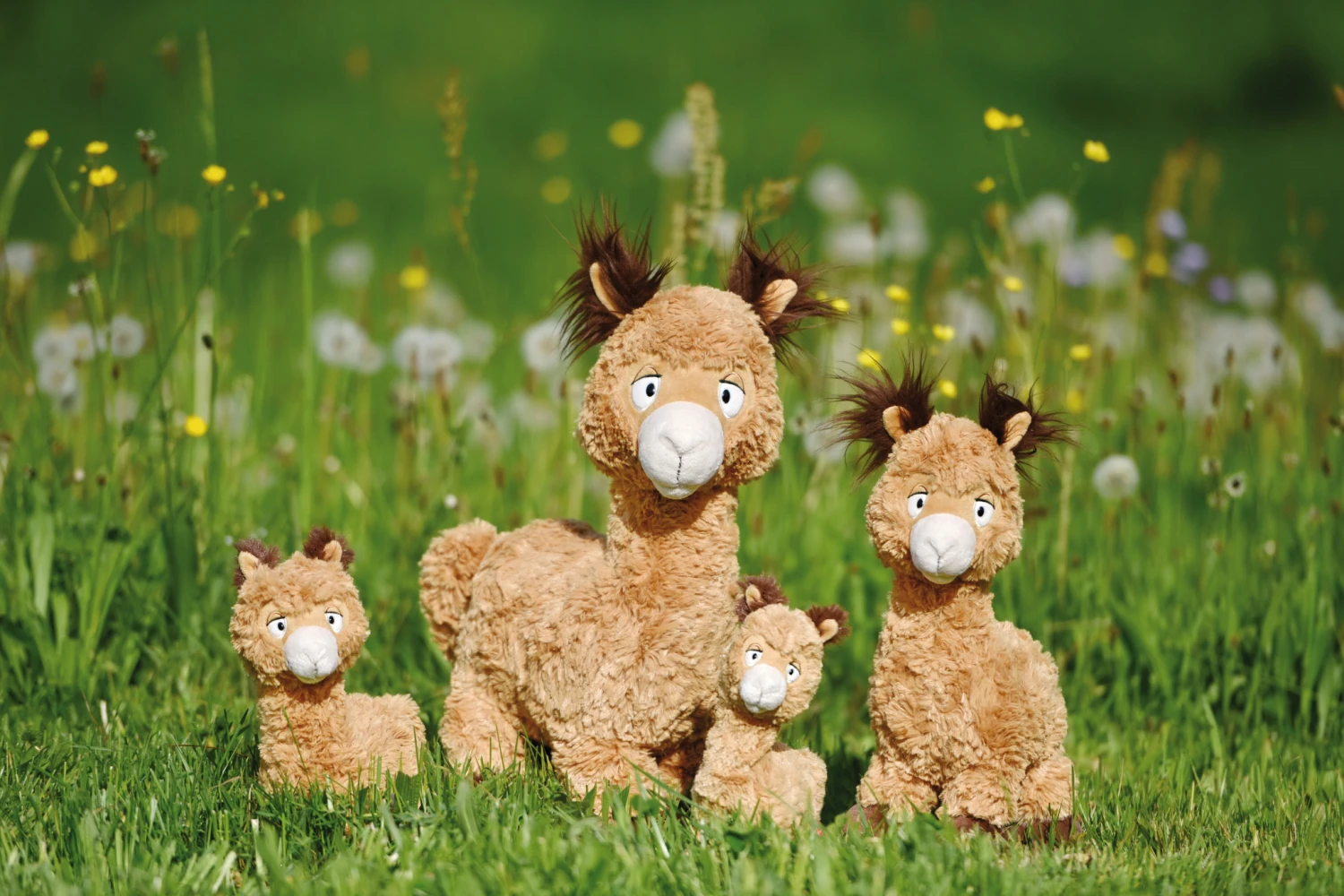 Nici 48602 Alpaka Al Paka 20cm Stehend Plüsch Kuscheltier GREEN 7 Nici 48602 Alpaka Al Paka 20cm Stehend Plüsch Kuscheltier GREEN – Bild 5