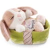 Nici 48709 Sleeping Pets Bunnies Hase Cappuccino 12cm Schlafend Im Körbchen Grün -Nici 48709 01 HA Frei 2048x1582