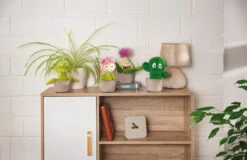 Nici 48944 Fleischfressende Pflanze Gisela 18cm Plüschfigur GREEN Funny Flowers 13 Nici 48944 Fleischfressende Pflanze Gisela 18cm Plüschfigur GREEN Funny Flowers -Nici 48941 11 Milieu 48942 48943 48944 Milieu me